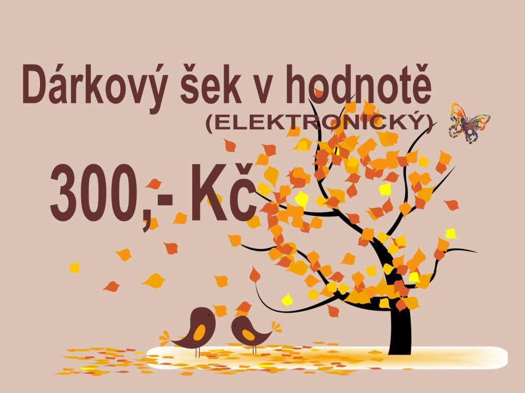PokojovaDekorace.cz, Dárkové poukazy, Dárkový poukaz E-300, barevná, 20x9cm