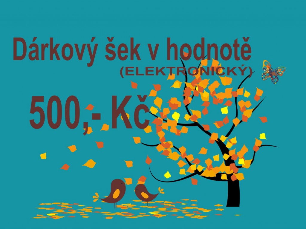 PokojovaDekorace.cz, Dárkové poukazy, Dárkové šeky E-500, barevná, 20x9cm