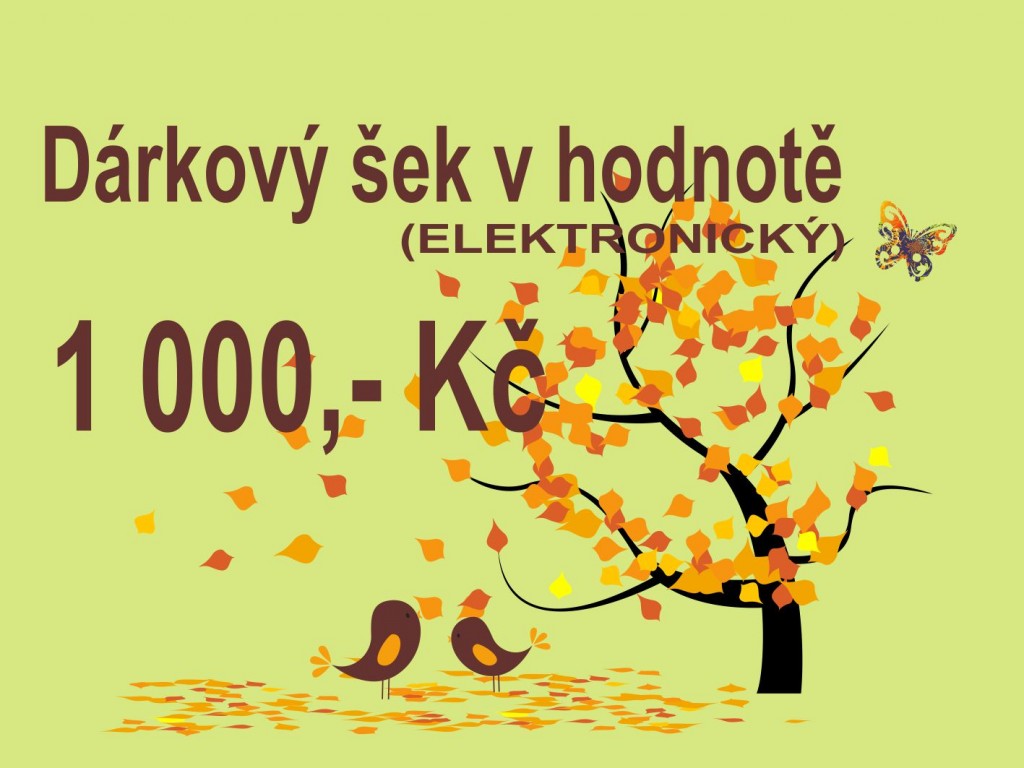 PokojovaDekorace.cz, Dárkové poukazy, Dárkové šeky E-1000, barevná, 20x9cm