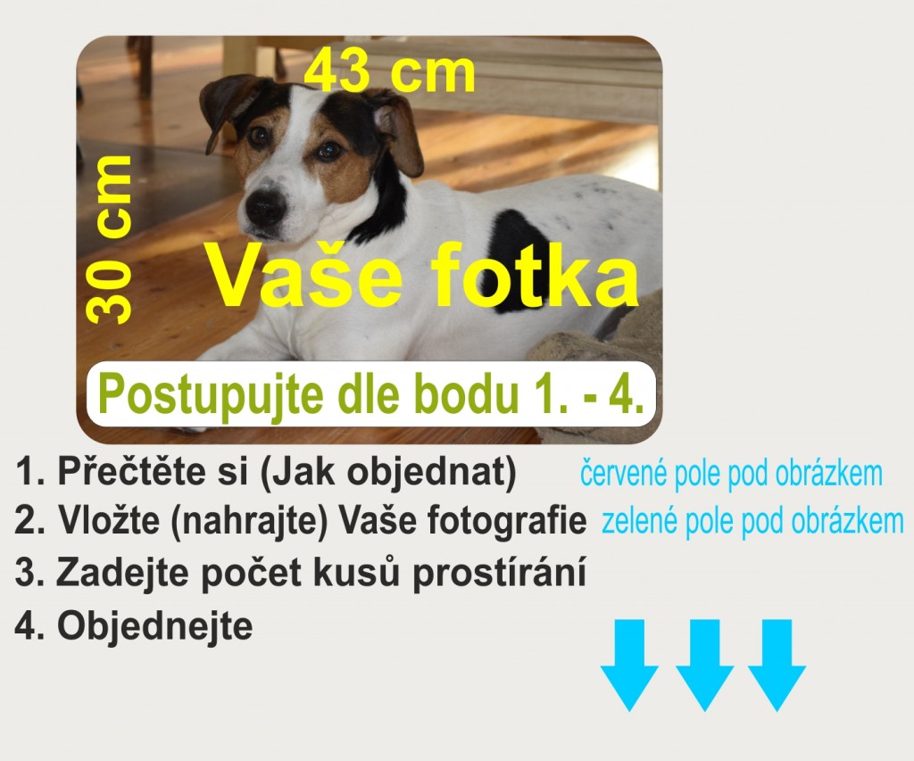PokojovaDekorace.cz, Prostírání, Fotodárek - Prostírání s vlastním potiskem, Fotografie, 43x30cm