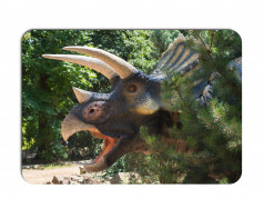 obrázek Dětské prostírání - 041, Dinosaurus