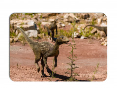 obrázek Dětské prostírání - 043, Dinosaurus