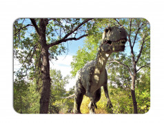 obrázek Dětské prostírání - 046, Dinosaurus