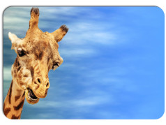 obrázek Prostírání - 383, Žirafa